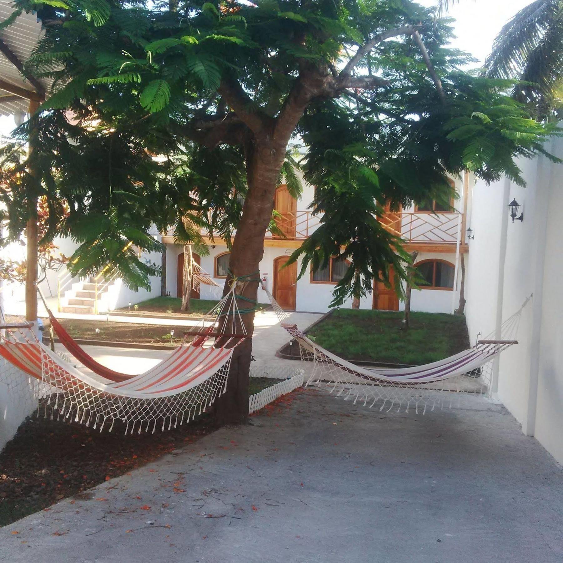 Hostal White House Galapagos بويرتو أيورا المظهر الخارجي الصورة