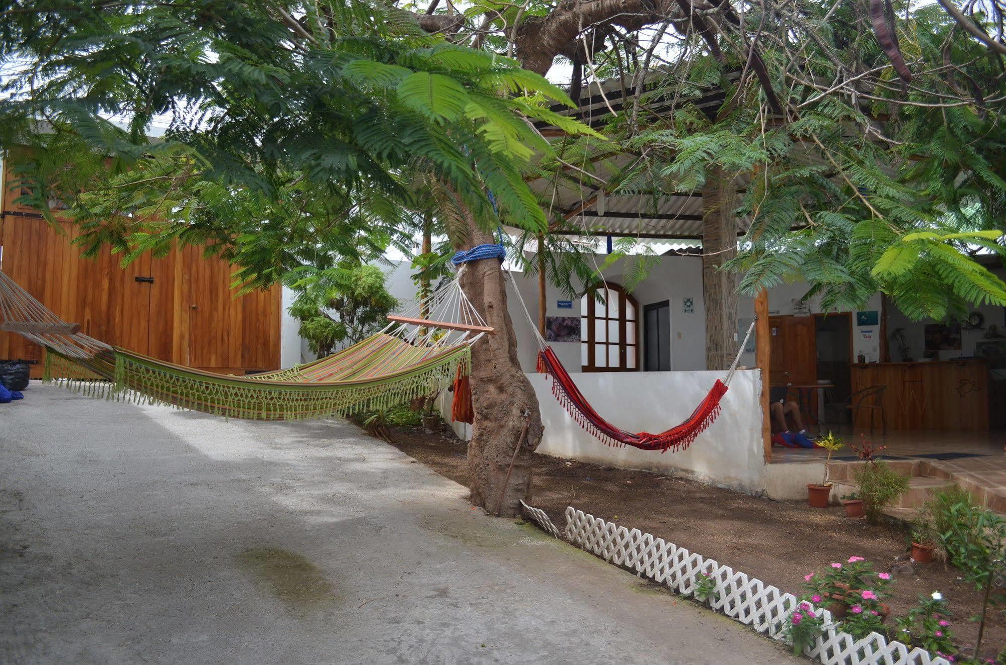 Hostal White House Galapagos بويرتو أيورا المظهر الخارجي الصورة